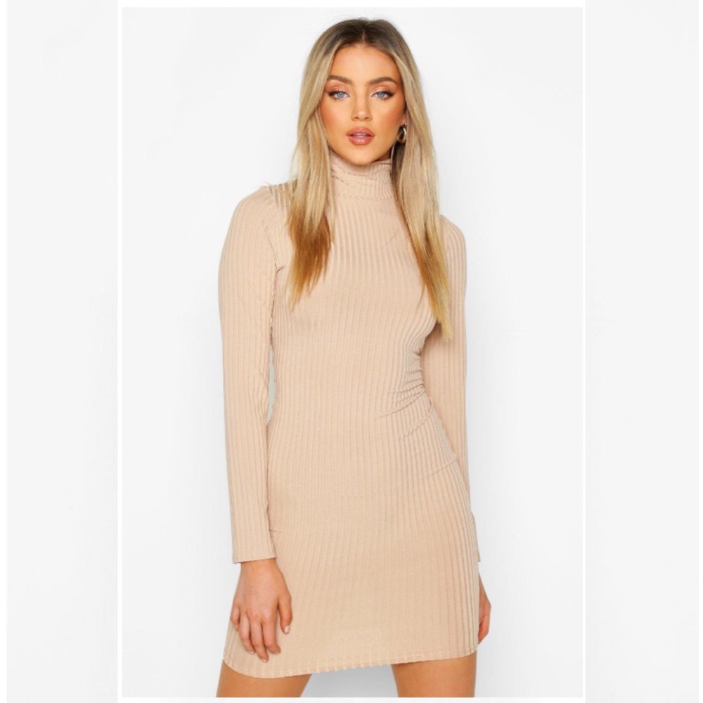 Long sleeve Turtle neck ribbed Bodycon dress